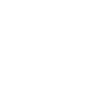 Wildfire Icon